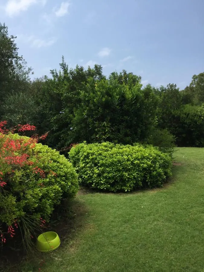 La Casa Sulla Collina 